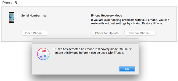 put iPhone into recovery mode